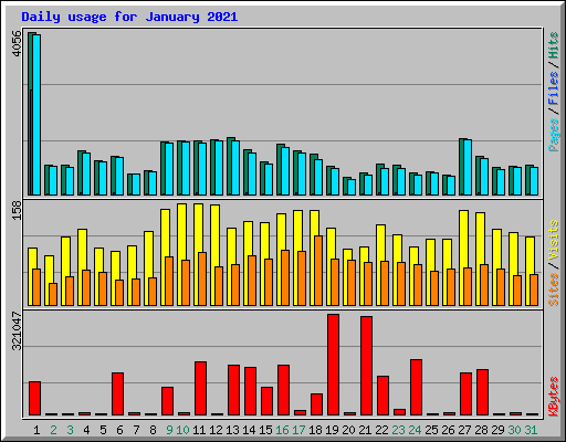 Daily usage for January 2021