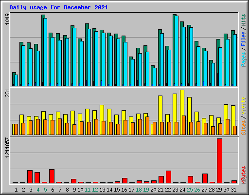 Daily usage for December 2021
