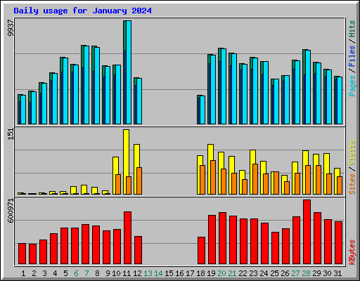 Daily usage for January 2024