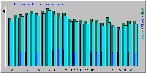 Hourly usage for November 2020