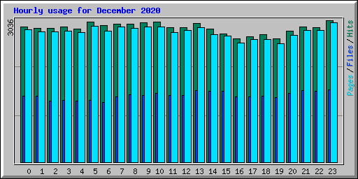 Hourly usage for December 2020