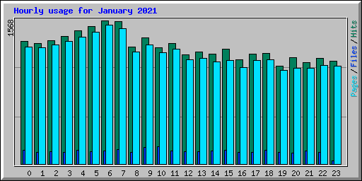 Hourly usage for January 2021
