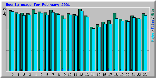 Hourly usage for February 2021