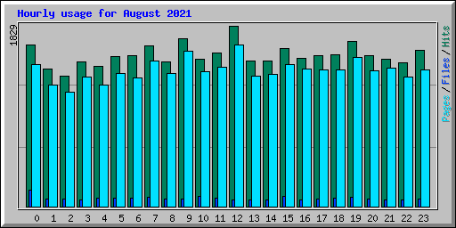 Hourly usage for August 2021