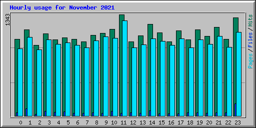 Hourly usage for November 2021