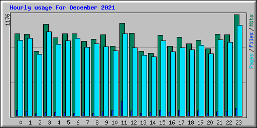 Hourly usage for December 2021