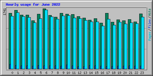 Hourly usage for June 2022