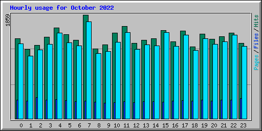 Hourly usage for October 2022