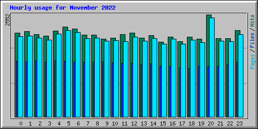 Hourly usage for November 2022