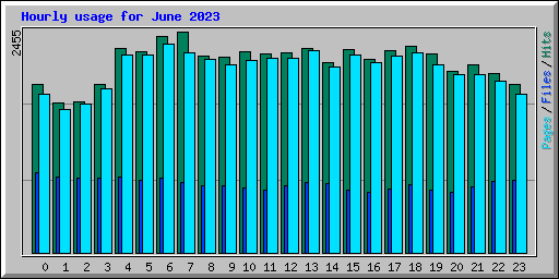 Hourly usage for June 2023