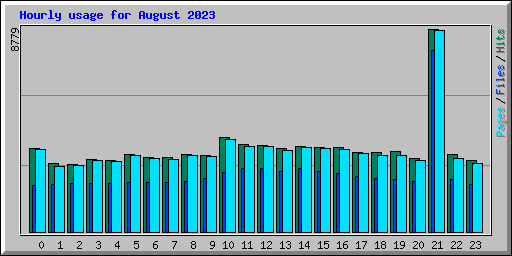 Hourly usage for August 2023