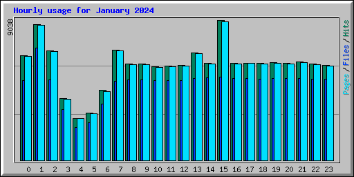 Hourly usage for January 2024