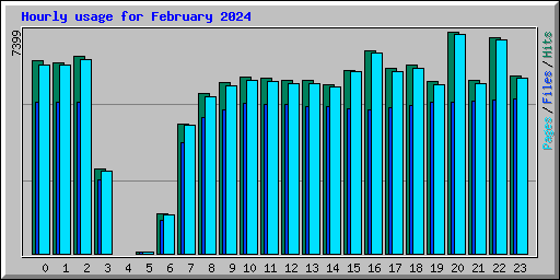 Hourly usage for February 2024