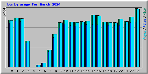 Hourly usage for March 2024