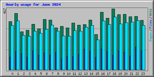 Hourly usage for June 2024