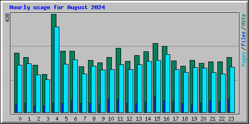 Hourly usage for August 2024