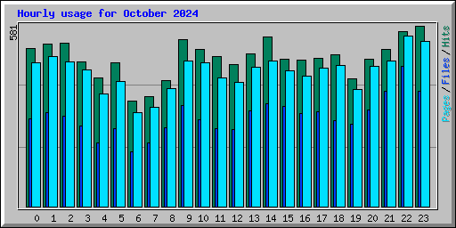 Hourly usage for October 2024