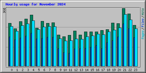 Hourly usage for November 2024