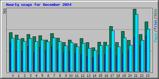 Hourly usage for December 2024