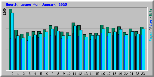 Hourly usage for January 2025