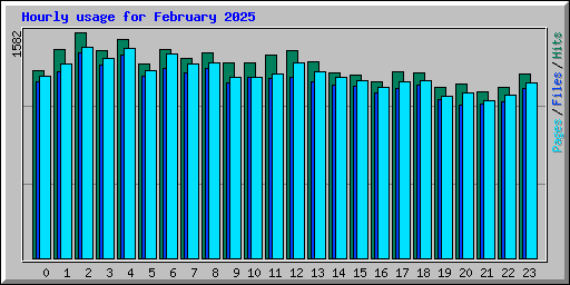 Hourly usage for February 2025