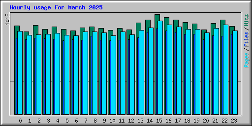 Hourly usage for March 2025
