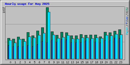 Hourly usage for May 2025
