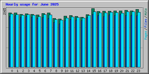 Hourly usage for June 2025