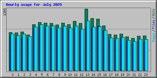 Hourly usage for July 2025