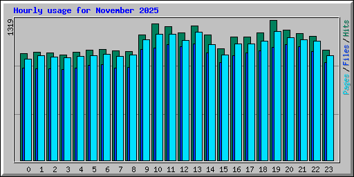 Hourly usage for November 2025