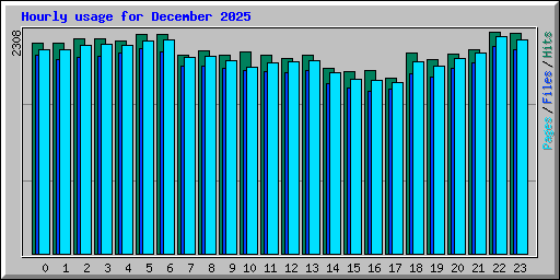 Hourly usage for December 2025
