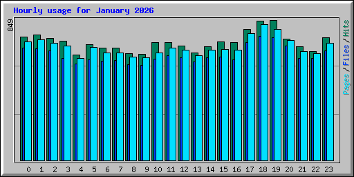 Hourly usage for January 2026