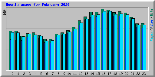 Hourly usage for February 2026