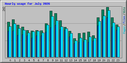 Hourly usage for July 2026